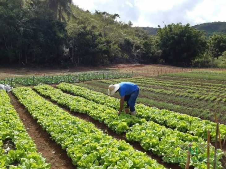 Fazenda / Sítio à venda em Gragoatá, Paraíba do Sul - RJ - Foto 3