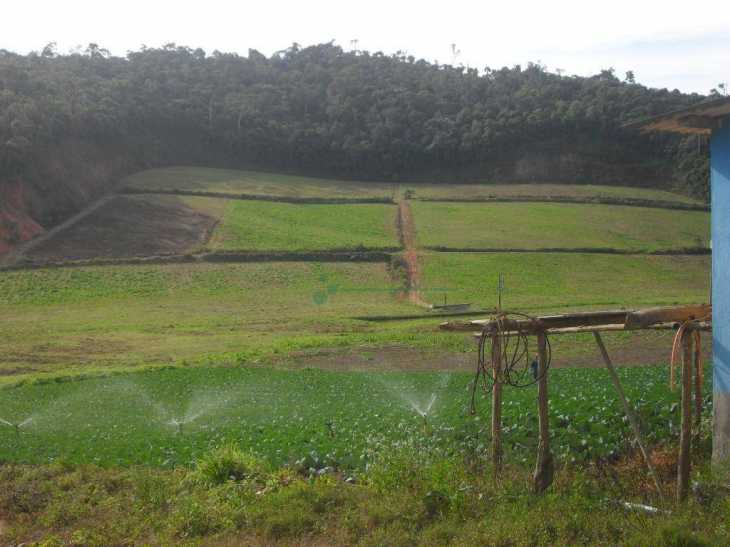Fazenda / Sítio à venda em Vieira, Teresópolis - RJ - Foto 12