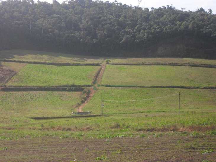 Fazenda / Sítio à venda em Vieira, Teresópolis - RJ - Foto 13