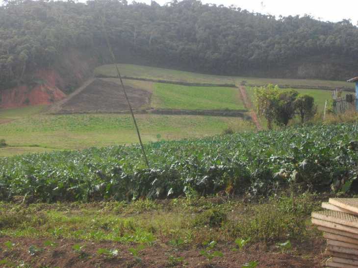 Fazenda / Sítio à venda em Vieira, Teresópolis - RJ - Foto 10