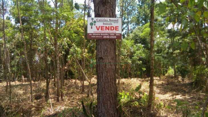 Terreno Residencial à venda em Fazenda Suiça, Teresópolis - RJ - Foto 8