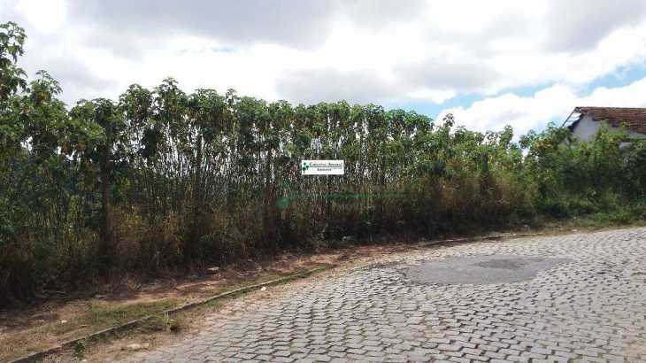 Terreno Residencial à venda em Vale do Paraíso, Teresópolis - RJ - Foto 1