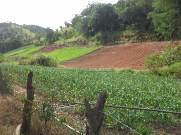 Fazenda / Sítio à venda em Vale Alpino, Teresópolis - RJ - Foto 14