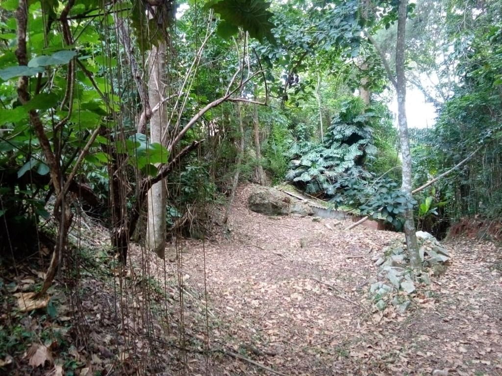 Terreno Residencial à venda em Parque do Imbui, Teresópolis - RJ - Foto 2
