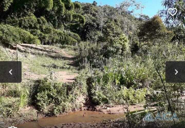 Fazenda / Sítio à venda em Areal, Três Rios - RJ - Foto 7