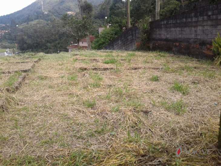 Terreno Residencial à venda em Quitandinha, Petrópolis - RJ - Foto 5