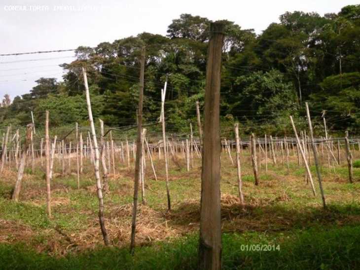 Fazenda / Sítio à venda em Ponte Nova, Teresópolis - RJ - Foto 20