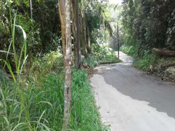 Terreno Residencial à venda em Duarte da Silveira, Petrópolis - RJ