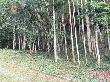 Terreno Residencial à venda em Ponte da Saudade, Nova Friburgo - RJ