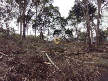 Terreno Residencial à venda em Braunes, Nova Friburgo - RJ