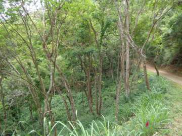 Terreno Residencial à venda em Corrêas, Petrópolis - RJ